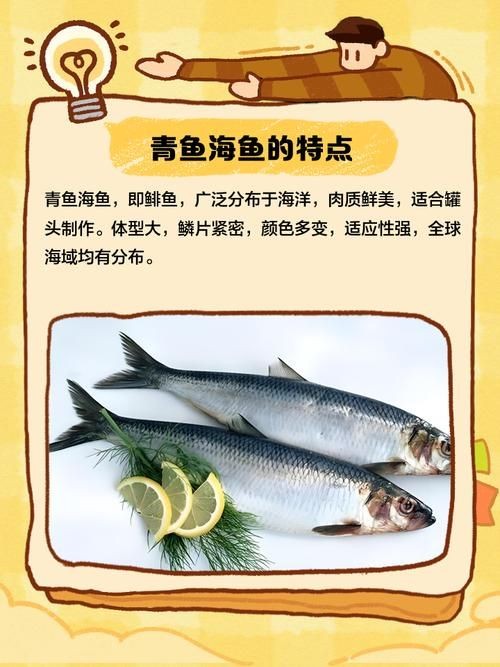 海里青魚圖片：海里青魚——海洋中的隱士
