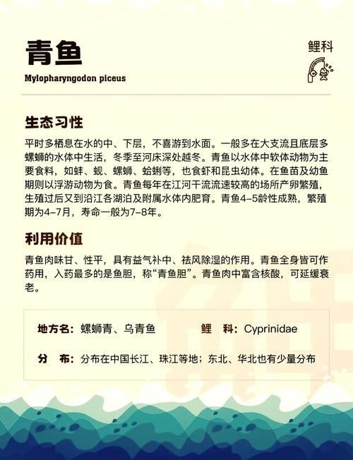 海里青魚圖片：海里青魚——海洋中的隱士