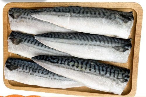 海里青魚圖片：海里青魚——海洋中的隱士