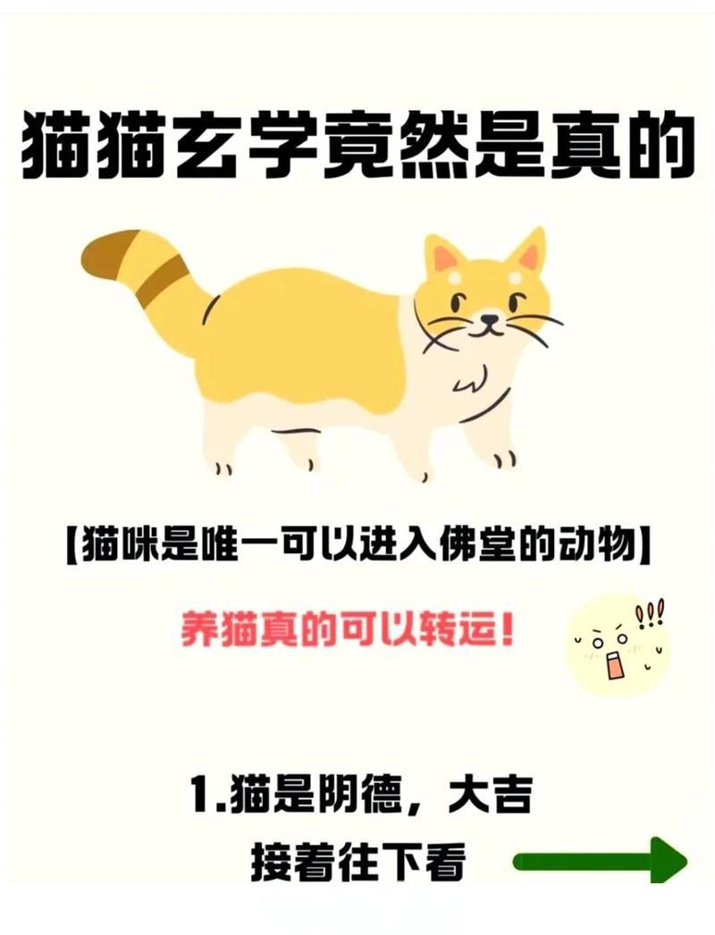 貓和魚(yú)一起養(yǎng)的風(fēng)水：家居風(fēng)水中貓魚(yú)共養(yǎng)的方位選擇至關(guān)重要