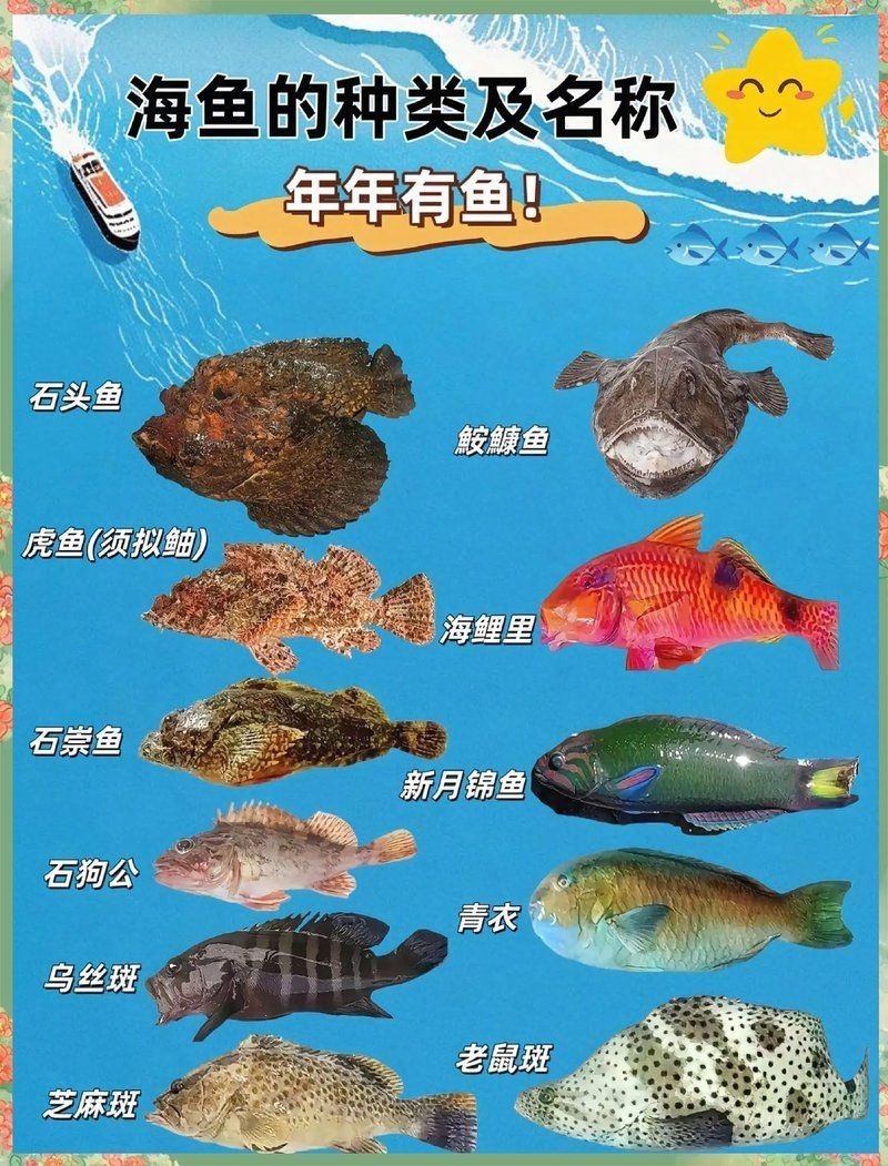 各種海魚的圖片及名稱 圖解：16種常見海魚種類圖解及特點及做法，看看你吃過幾種
