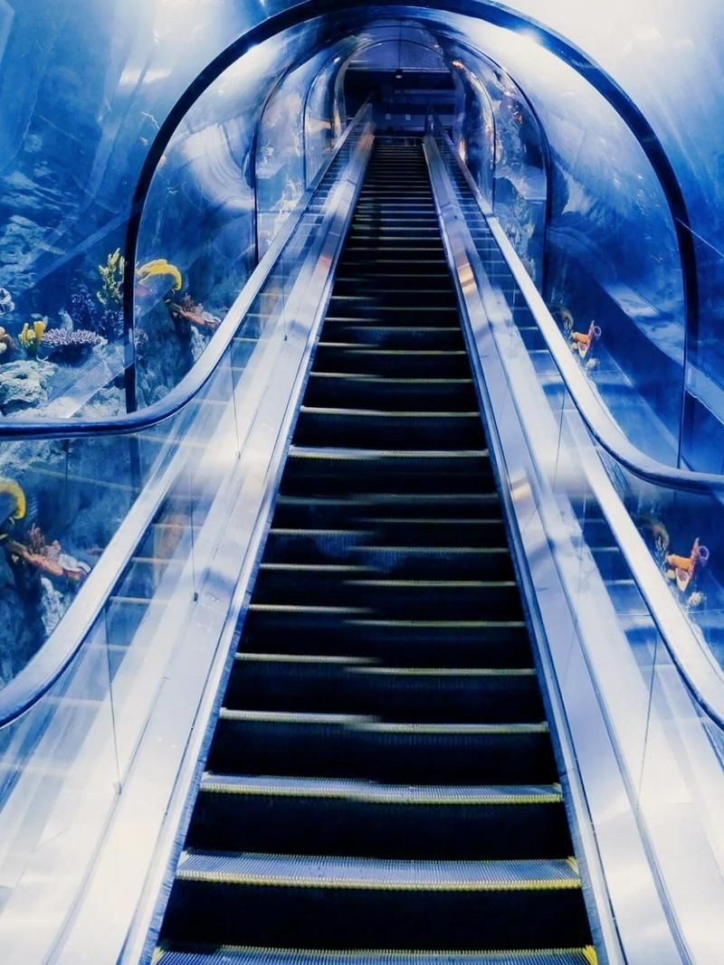 商丘水族店：商丘市睢陽區中州水族館怎么樣
