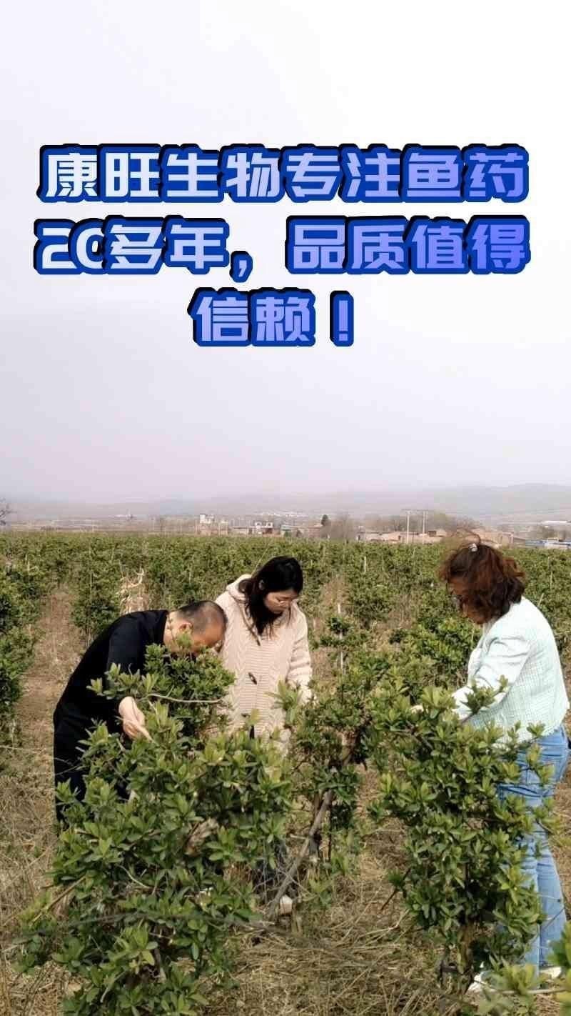 國產(chǎn)魚藥哪個牌子好:中國魚藥十大名牌及其特點分析:幕幕觀影水產(chǎn)藥品廠家排名前十 龍魚論壇 第6張 國產(chǎn)魚藥哪個牌子好:中國魚藥十大名牌及其特點分析:幕幕觀影水產(chǎn)藥品廠家排名前十 國產(chǎn)魚藥哪個牌子好:中國魚藥十大名牌及其特點分析:幕幕觀影水產(chǎn)藥品廠家排名前十 龍魚論壇 第6張