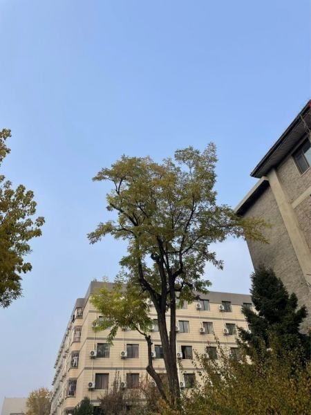 剛買的魟魚開燈嗎：新買的魟魚為什么不可以開燈