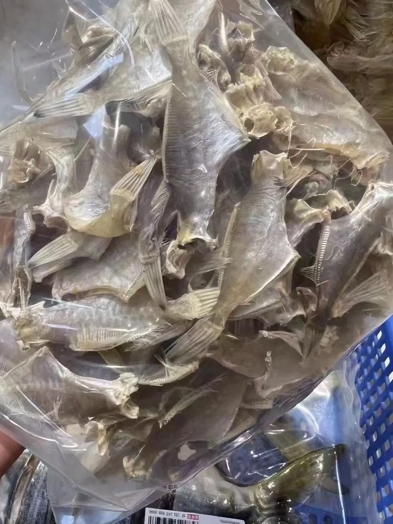 干皮魚圖片：干皮魚圖片展示