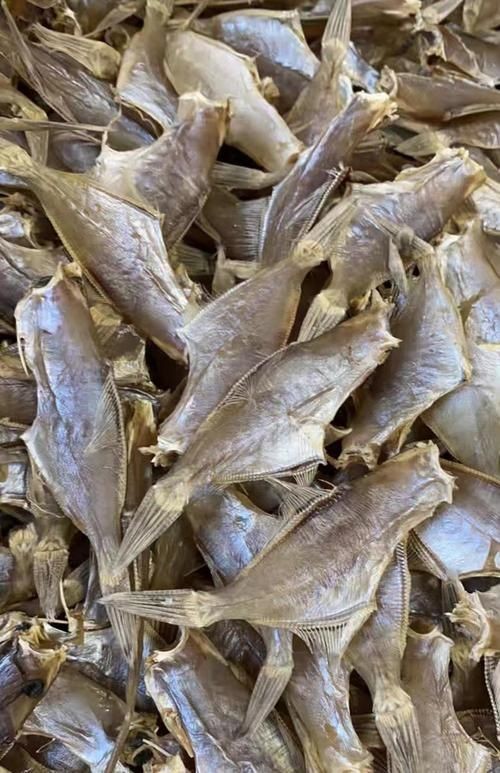 干皮魚圖片：干皮魚圖片展示