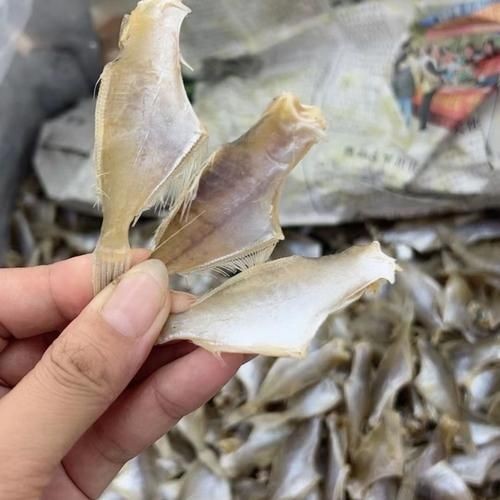 干皮魚圖片：干皮魚圖片展示