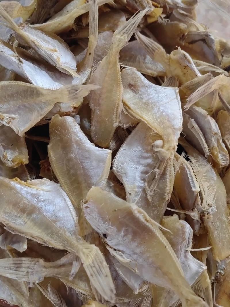 干皮魚圖片：干皮魚圖片展示