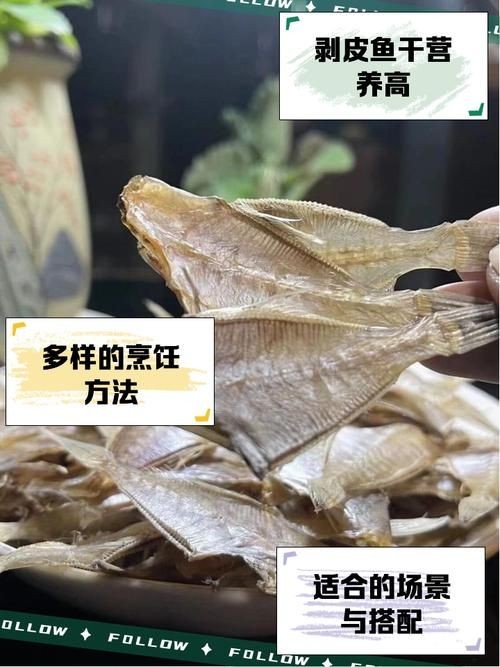 干皮魚圖片：干皮魚圖片展示