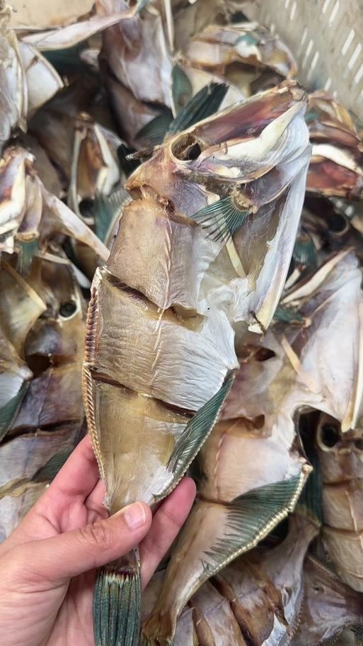 干皮魚圖片：干皮魚圖片展示