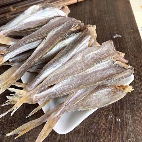 干皮魚圖片：干皮魚圖片展示