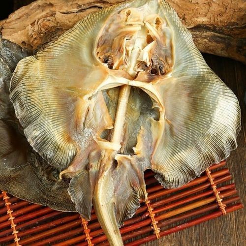 干皮魚圖片：干皮魚圖片展示