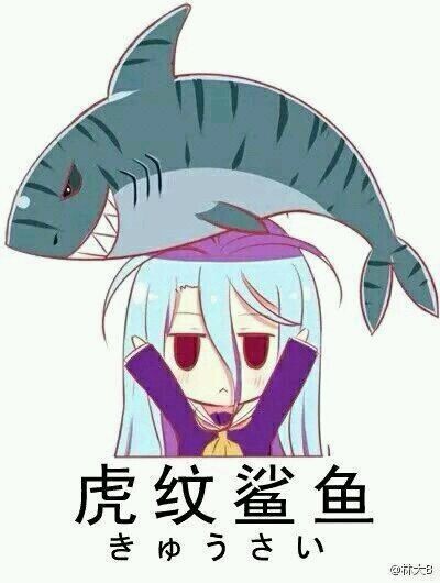 好大的魚虎紋鯊魚：《好大的魚虎紋鯊魚》