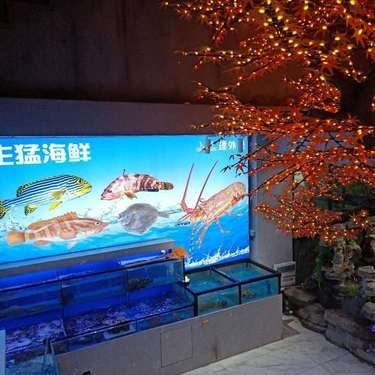 懷化魚缸批發市場：懷化魚缸批發市場是湘西地區重要的水族用品集散地
