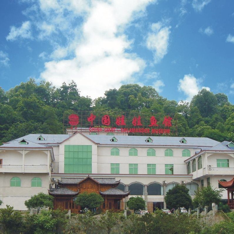 張家界水族店：張家界娃娃魚館