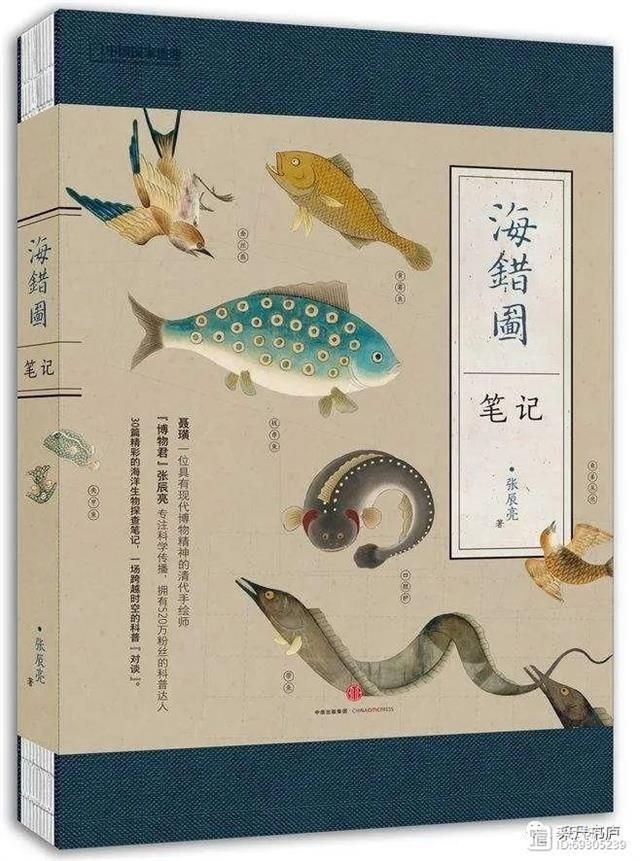 海和尚圖片:**《海和尚圖片》主題圖片