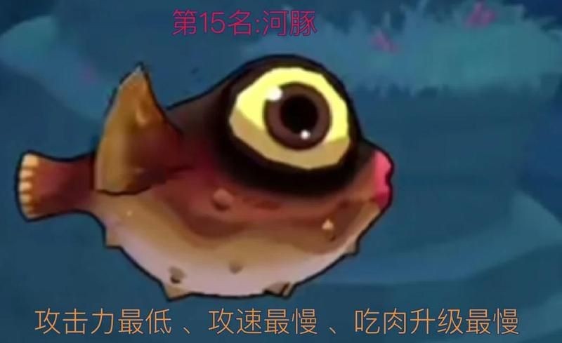 海洋里十大厲害的魚：海洋十大厲害的動物