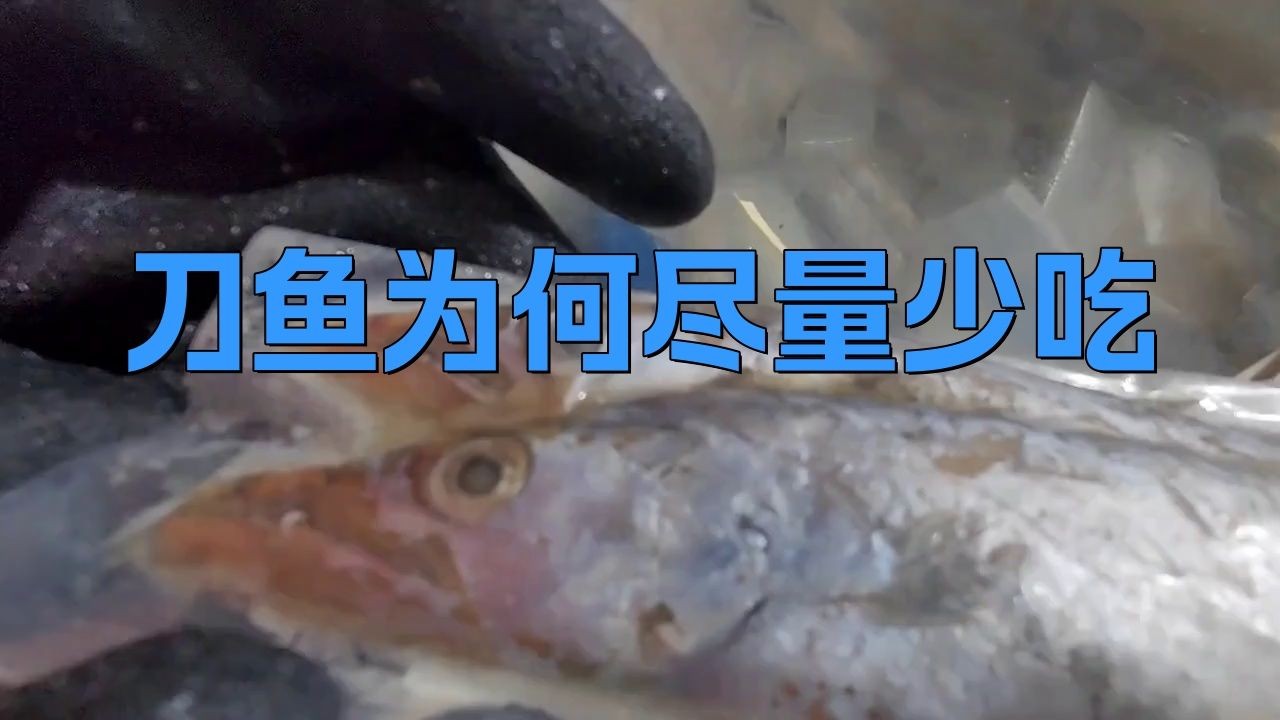 關刀魚為何盡量少吃：關刀魚為什么不建議吃