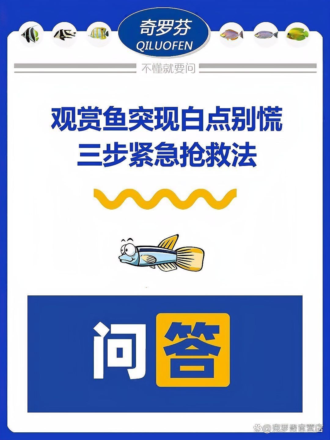 狗頭魚白點病的癥狀：常見魚病之白點病