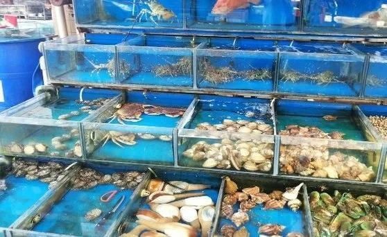 三亞水族批發市場：三亞水族批發市場是海南地區極具影響力的專業水產品集散地