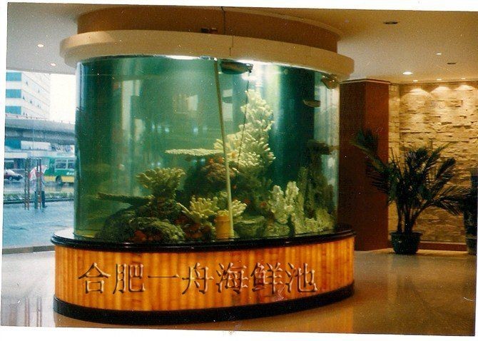 合肥魚(yú)缸定做：合肥魚(yú)缸定做服務(wù)