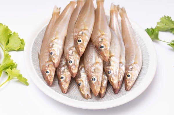 金絲魚的功效與作用：金絲魚的營養價值及功效與作用與作用
