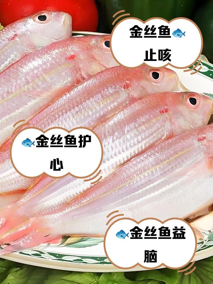 金絲魚的功效與作用：金絲魚的營養價值及功效與作用與作用