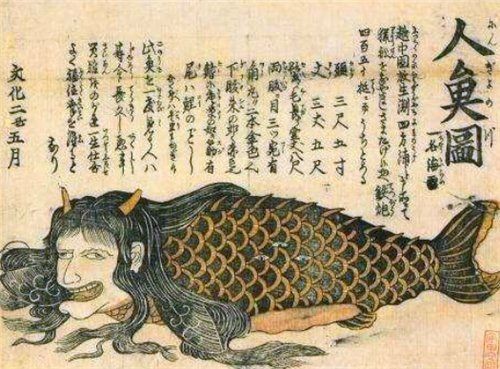 海和尚什么魚：古籍記載中的“海和尚”是什么？