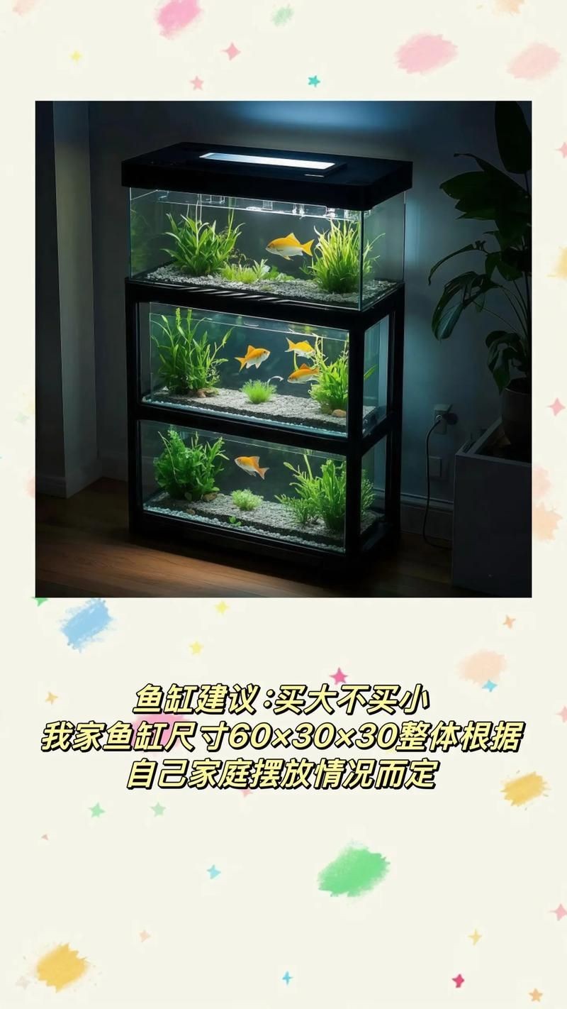 家庭魚缸養(yǎng)魚品種圖片：家庭魚缸選對觀賞魚品種則是打造理想水景的關(guān)鍵