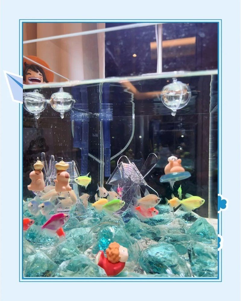 嘉興魚缸定做：嘉興魚缸定制服務