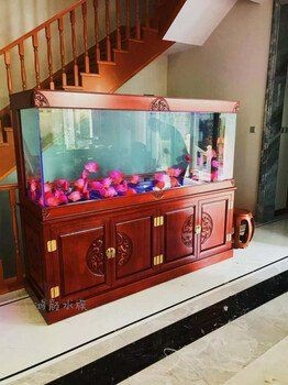 嘉興魚缸定做：嘉興魚缸定制服務
