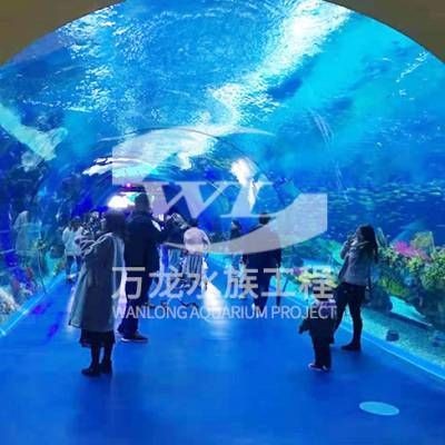 三亞魚缸批發市場：三亞定制魚缸批發市場