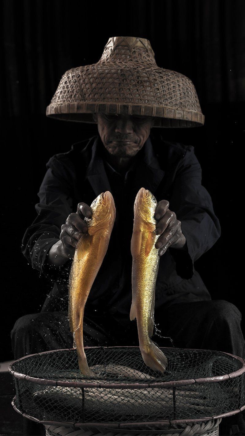 寧德龍魚店：寧德龍魚店年產量達2000噸龍魚繁育、銷售與養護的專業