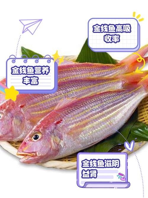 金雙線魚圖片：*《雙線魚圖片》金雙線魚能和什么魚混養有什么注意事項