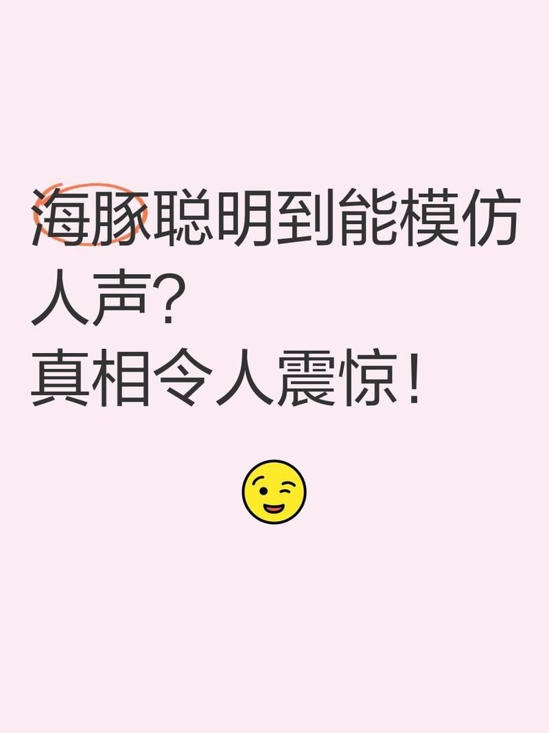 海豚能聽懂人說話嗎:海豚能否聽懂人類語言? 龍魚論壇 第3張 海豚能聽懂人說話嗎:海豚能否聽懂人類語言? 海豚能聽懂人說話嗎:海豚能否聽懂人類語言? 龍魚論壇 第3張