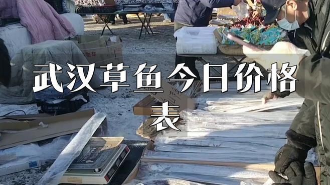 今日魚價最新價格：2018年8月14日魚價大揭秘