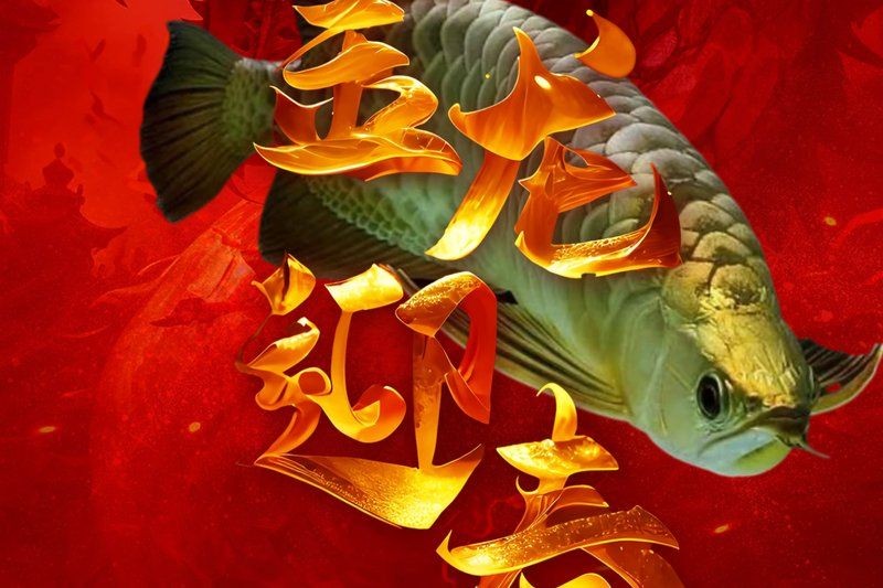 廣州龍魚漁場：廣州呈千祥龍魚漁場