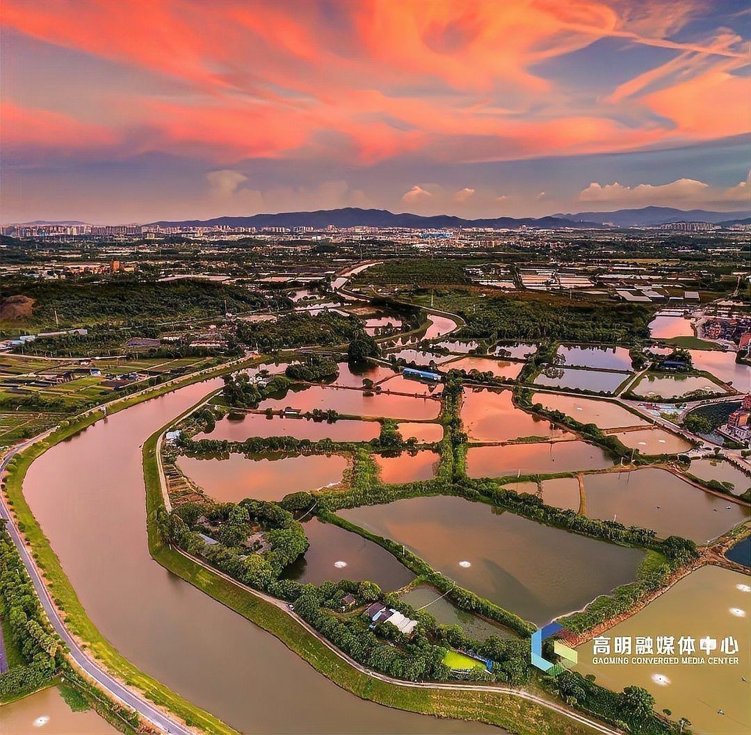 廣東水產(chǎn)養(yǎng)殖在哪里：廣東水產(chǎn)養(yǎng)殖在哪里終日無(wú)心理云鬢一圖速覽梅江區(qū)水產(chǎn)產(chǎn)業(yè)園