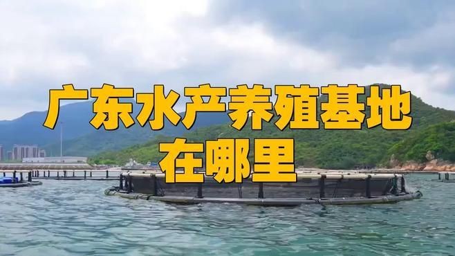 廣東水產(chǎn)養(yǎng)殖在哪里：廣東水產(chǎn)養(yǎng)殖在哪里終日無(wú)心理云鬢一圖速覽梅江區(qū)水產(chǎn)產(chǎn)業(yè)園