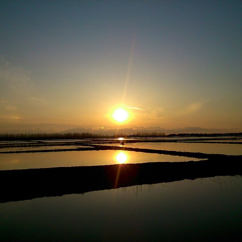 建三江15個農場名單：建三江15個農場發展紀實