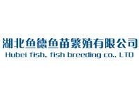 湖北魚苗批發：湖北魚苗產業現狀與發展前景調研報告