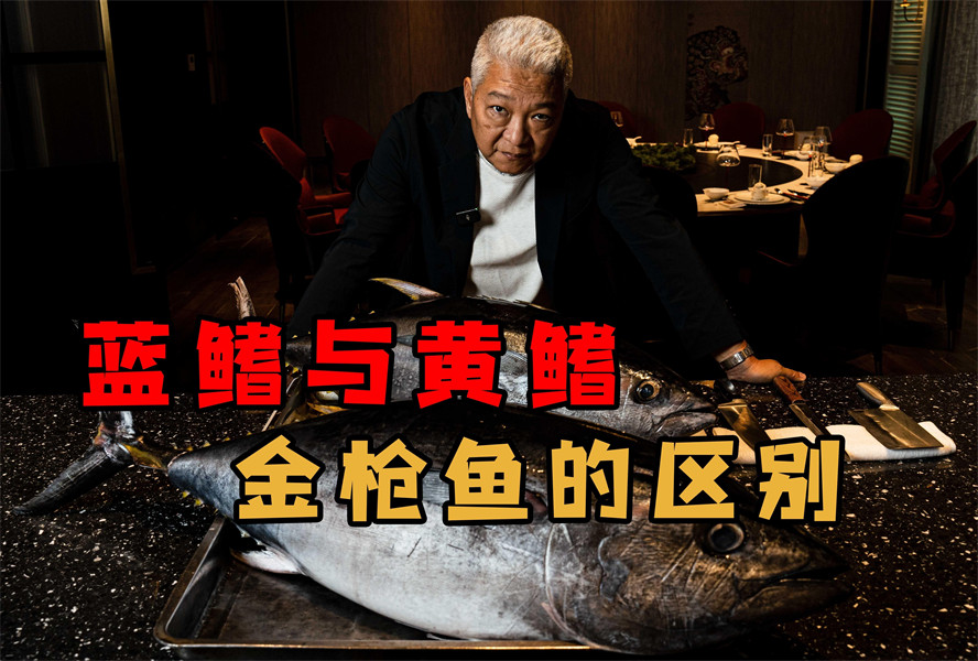 金槍魚藍鰭和黃鰭有啥區(qū)別：如何分辨藍鰭金槍魚和黃鰭金槍魚