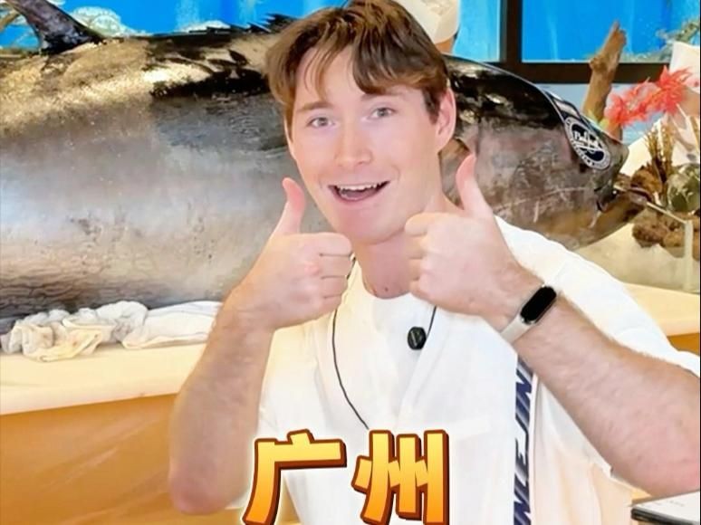 金槍魚藍鰭和黃鰭有啥區(qū)別：如何分辨藍鰭金槍魚和黃鰭金槍魚