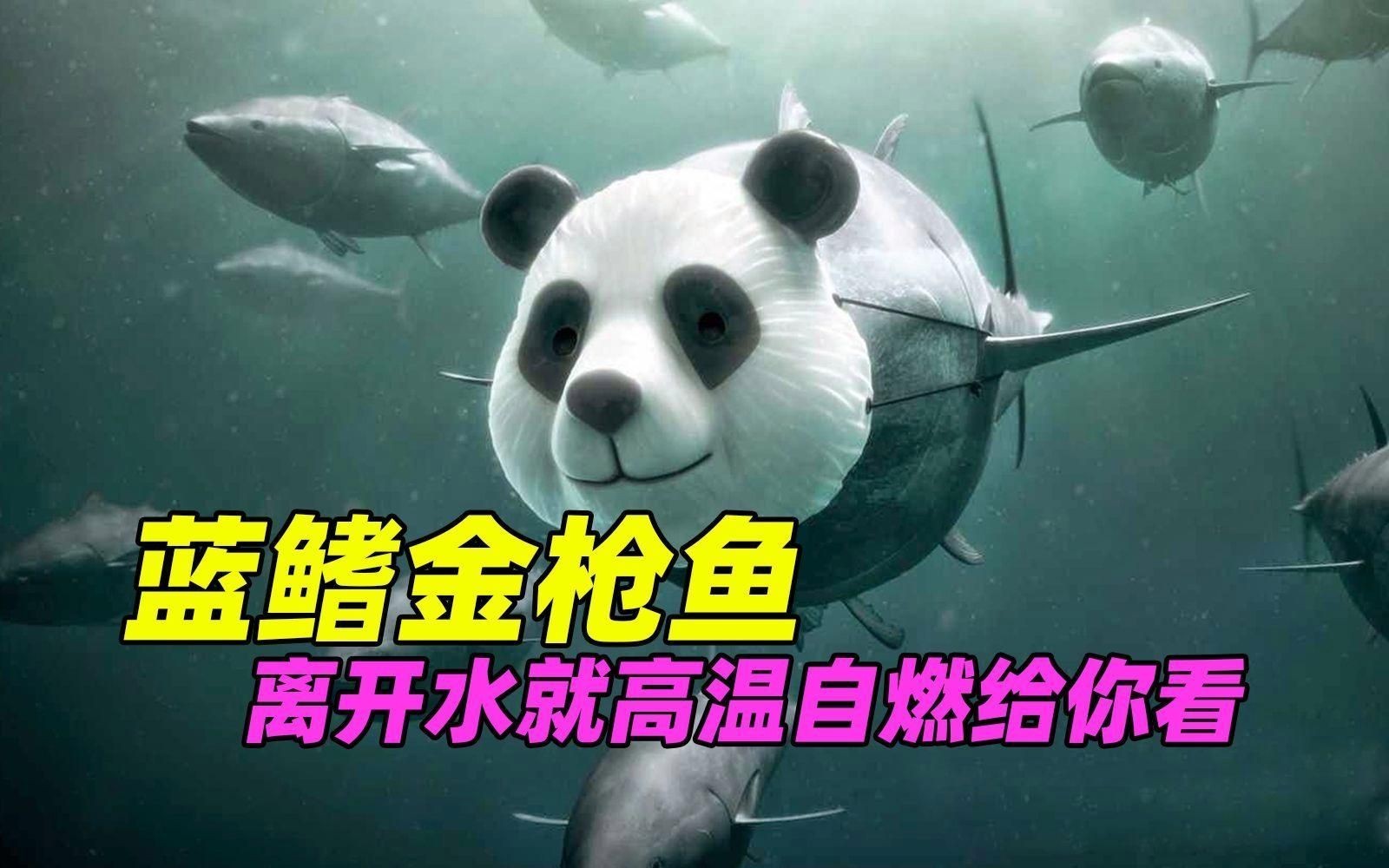 金槍魚藍鰭和黃鰭有啥區(qū)別：如何分辨藍鰭金槍魚和黃鰭金槍魚