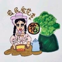 家里養什么花最吉利：2025年最受歡迎的吉利花卉，養在客廳長勢壯、顏值高