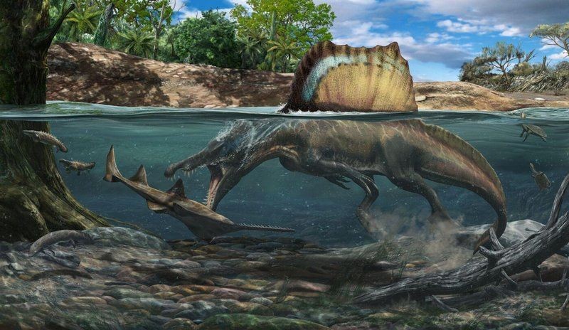 棘龍在現(xiàn)代可以吃什么魚類：揭秘恐龍界十八種獨特生物的生存秘密棘龍在現(xiàn)代哪些天敵