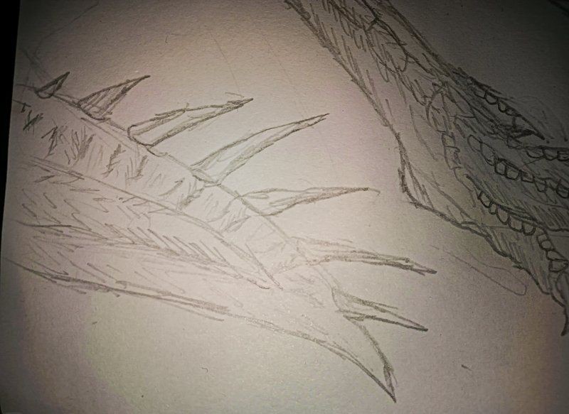 棘龍在現(xiàn)代可以吃什么魚類：揭秘恐龍界十八種獨特生物的生存秘密棘龍在現(xiàn)代哪些天敵