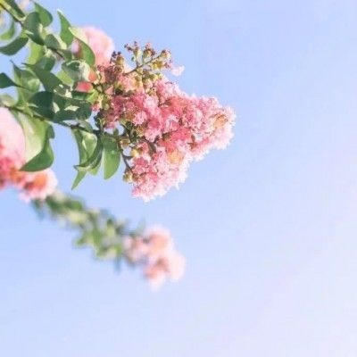 懷化水族館：懷化水族館是一座科普教育、生態展示與休閑娛樂于一體的火星探測器設計