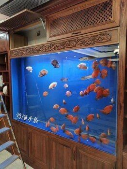 嘉興魚缸店：嘉興魚缸定制廠家