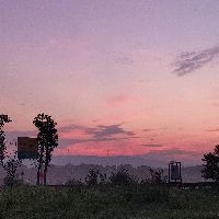 金漸層貓?bào)w型多大：英國(guó)短毛貓金漸層貓金漸層貓的體型特征管理要點(diǎn)